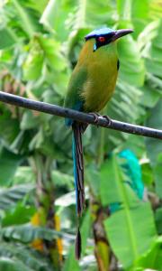 Casa Viva Alojamiento Rural