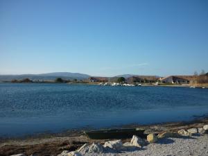 Port Leucate: Charmante Villa 4 Pers. Proche Lac, Terrasse, Parking, Animaux Acceptés - FR-1-798-49