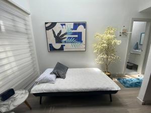 Modern Cozy Suite Cuenca