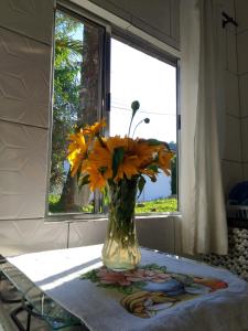 Micro casa Pedra em flor