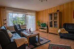 Große Wohnung in Polle mit Garten und Grill - Polle