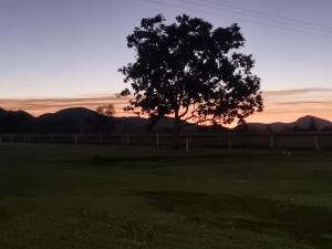 Koorawatha Homestead Motel