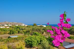 Paul's Garden Studios Rhodes Greece