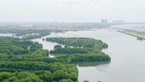 Nice and Homey 1BR at Gold Coast Apartment By Travelio