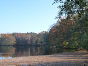 Appartements Gite des etangs de Saint Bale : photos des chambres