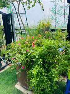 ND Happy House 1- CH sân vườn, CH chuẩn khách sạn tại số 10 ngách 5 ngõ 56 Hoa Lâm, Hà Nội