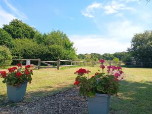 Cosy Cabins at Westfield Farm, Isle of Wight