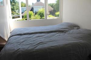 Ferienhaus "Buurtweg 219" mit Schwimmbad