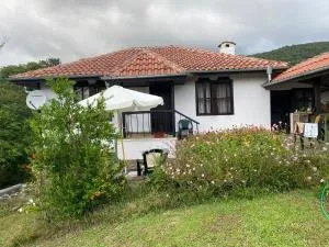 Brodilovo - Avcılar