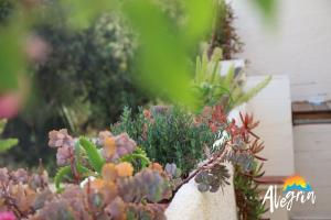 Casa Alegria Mojacar