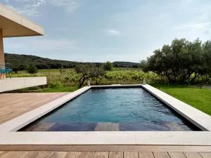 La villa des vignes - Saint-Hilaire-dʼOzilhan