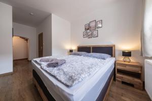 Deluxe Double Room room in Penzion Mnich