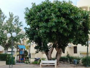 Ruhige Ferienwohnung für alle an der Costa Blanka bei Denia