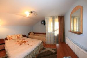 Pensiunea Valea Ursului