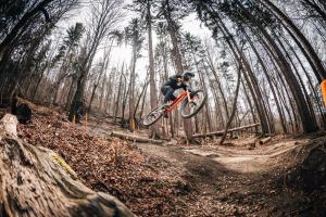 Bolfenk lodge apartment 