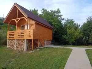 Tiny H - 伯伊莱戈沃拉