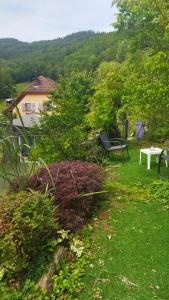 Appartements Appartement : photos des chambres