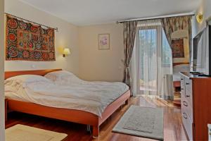 Wine Cellar Villa with Beautiful Garden in Sinaia - Busteni