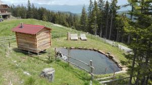 Ferienhaus Harterhütte in Klippitztörl