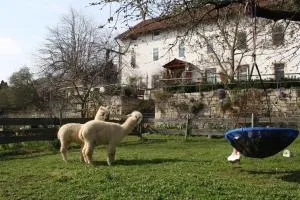 Urlaub auf dem Bauernhof, mit Schlossblick - Crölpa