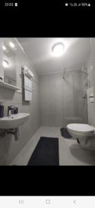 Studio apartman Delight Vrnjačka banja