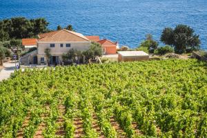 GLamping tents Adriatic - Orebic