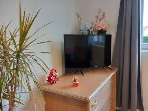Appartements THALASSA : photos des chambres