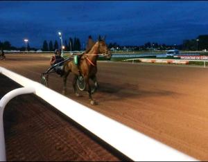 Appartements Port-Guillaume, residence de vacances avec mer & piscine : photos des chambres