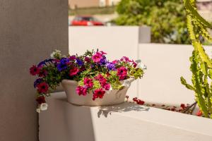 Sarpidon Suites