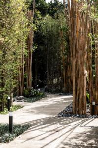 Shanti Cabin - Ezra Viniti Resort