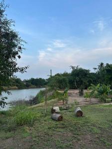 Tiny home by the River in Thailand