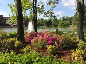 Milano 3 Astra Apartments & Rooms PT - باسيغليو