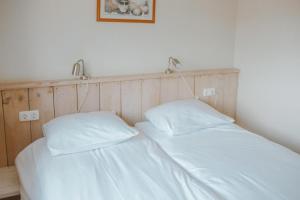 Vakantiepark De Boshoek - Luxe Groepsverblijven op de Veluwe