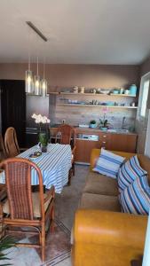 Apartment Dmitr Petrovac