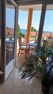 Apartment Dmitr Petrovac