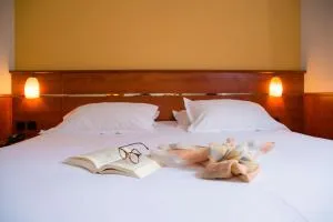 雷恩圣格雷布里特酒店 - 维伦纽夫 - 蒙特热尔蒙