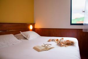 Hotels Brit Hotel Rennes St Gregoire – Le Villeneuve : photos des chambres