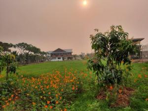 Jira Hotel เรือนรับรอง