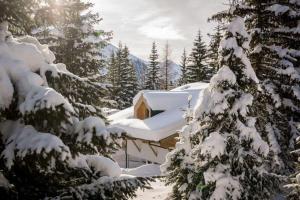 Chalet Zillertal Arena XL
