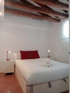 Emblematic flat in Madrid Central - Arenal