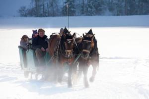 Am Sonnenhang Top 8 - 150m van skilift - met sauna