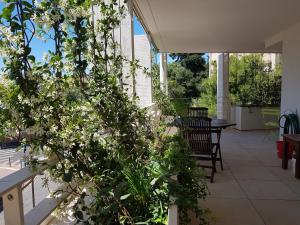 Appartement Centre ville Beaux Arts 2 personnes calme et confort