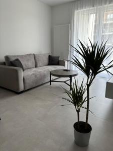 KIMA Apartamenty Atal Szybowcowa 33