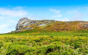 Finest Retreats - Little Dunley - Wisteria Cottage