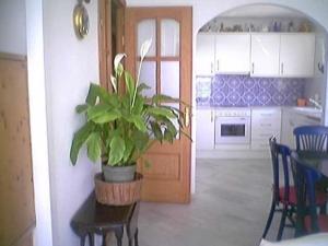 Ferienwohnung direkt am Meer von Coma-ruga