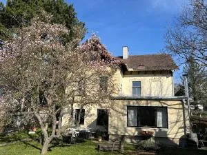 Beletage Johann Strauss - Langenzersdorf