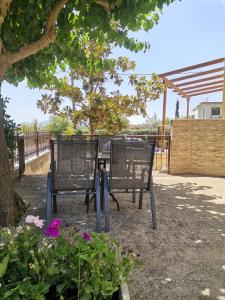 Great apartment with a nice yard
