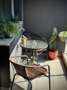 Sunny & Comfort Apartment next to Tech Park for 4 Guests