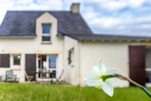 Maisons de vacances Jolie maison proche des quais a Vannes : photos des chambres