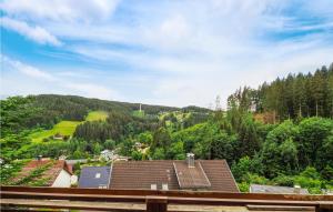 Amazing Apartment In Schonach Im Schwarzwal